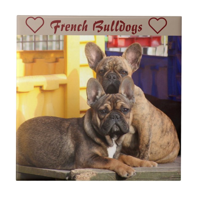 French Bulldog Friends French Bulldog Ceramic Tile (Front)
