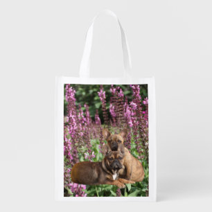 French Bulldog Friends Grocery Bag