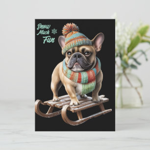 French Bulldog funny sled ride on vacation