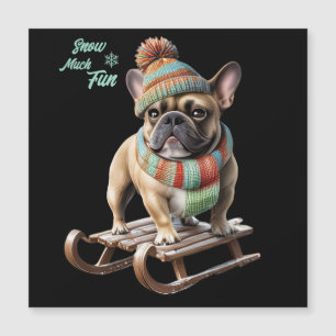 French Bulldog funny sled ride on vacation