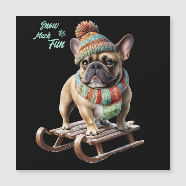 French Bulldog funny sled ride on vacation (Front)