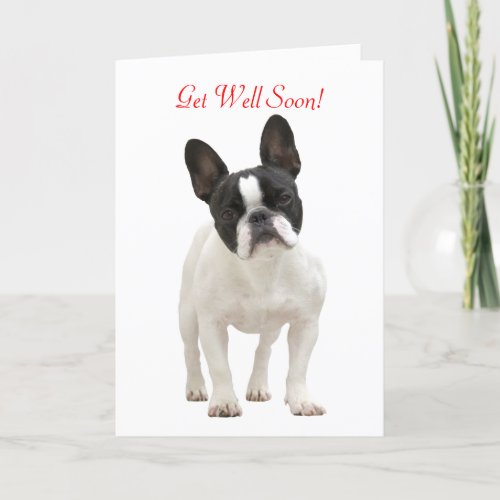 French Bulldog get well soon greeting card