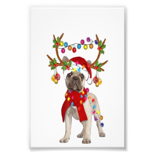 French Bulldog Gorgeous Reindeer Christmas Gift Photo Print