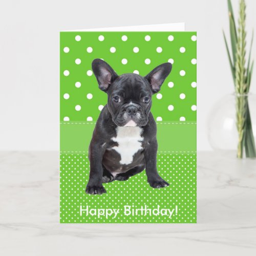 French Bulldog Green Polka Dots Birthday Card
