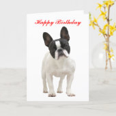 French Bulldog happy birthday greeting card | Zazzle