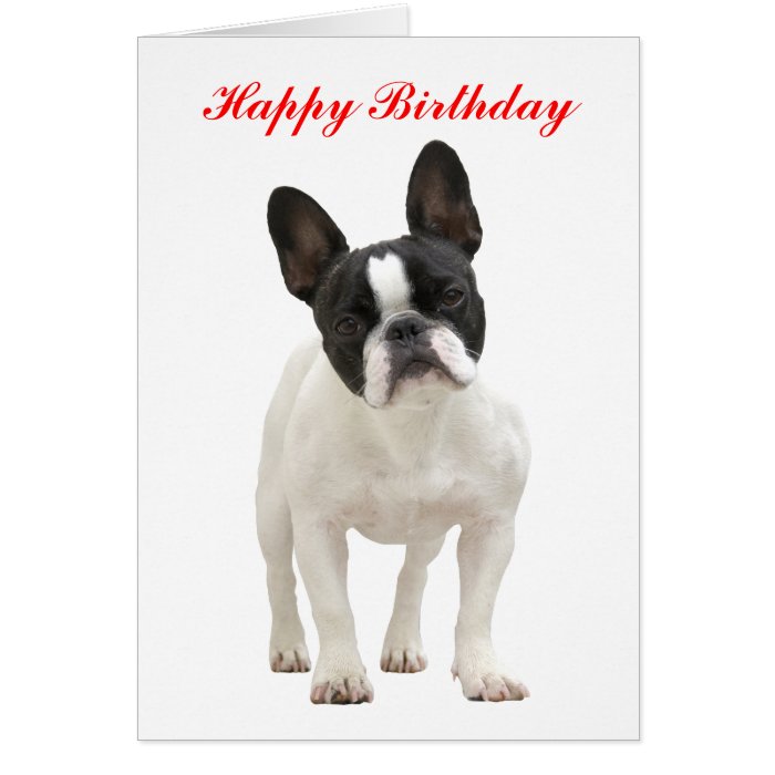 French Bulldog happy birthday greeting card