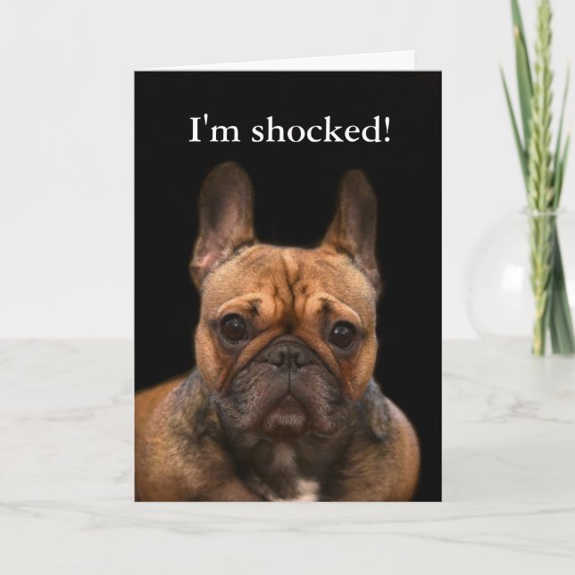 French Bulldog Happy Birthday Humor Card (Front)