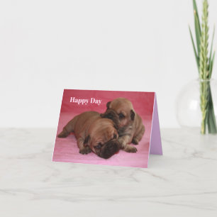 French Bulldog Happy Day French Bulldog Holiday Card
