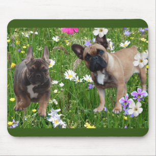 French Bulldog Happy Day French Bulldog Mouse Pad
