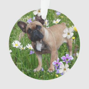 French Bulldog Happy Day French Bulldog Ornament