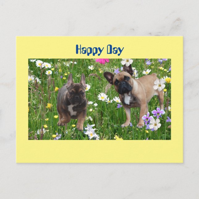 French Bulldog Happy Day French Bulldog Postcard (Front)