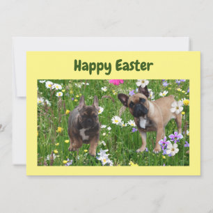 French Bulldog Happy Easter French Bulldog Invitation