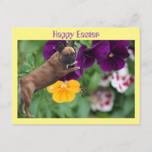 French Bulldog Happy Easter French Bulldog Postcard