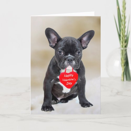 French Bulldog Happy Valentines Day Greeting Card