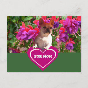 French Bulldog Heart French Bulldog Mother Postcard