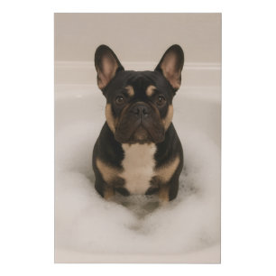 French Bulldog in bubble bath  Faux Canvas Print