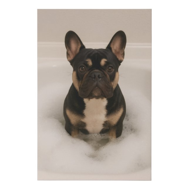 French Bulldog in bubble bath  Faux Canvas Print (Front)