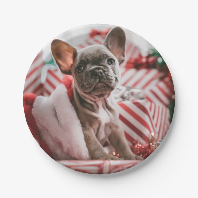 French Bulldog in Christmas Hat Paper Plates (Front)