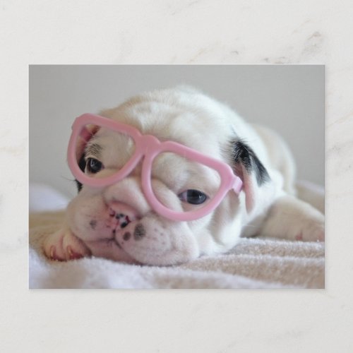 French Bulldog in Heart Glasses Postcard
