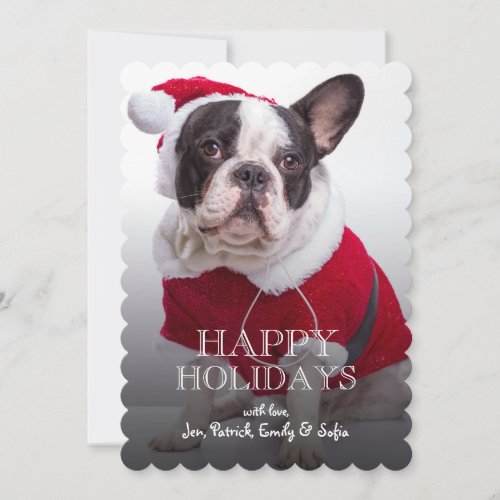 French Bulldog In Santa Costume For Christmas Holiday Card