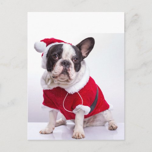 French Bulldog In Santa Costume For Christmas Holiday Postcard