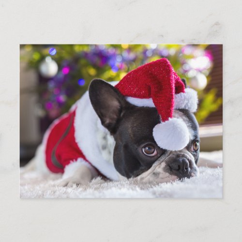 French Bulldog In Santa Hat Under Christmas Tree Holiday Postcard