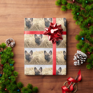 French Bulldog in straw French Bulldog  Wrapping Paper