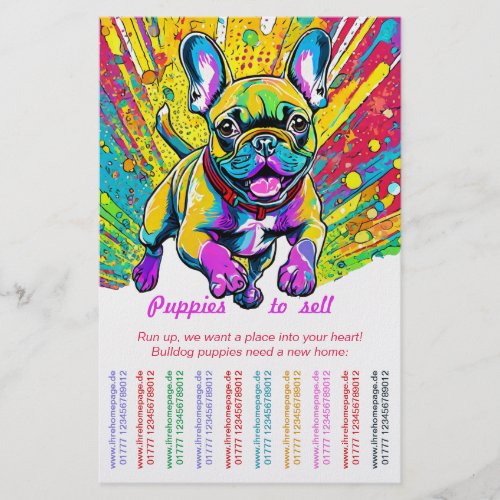 French Bulldog into your home Flyer