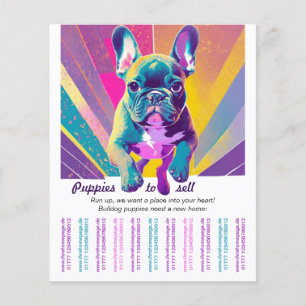 French Bulldog into your home Flyer