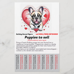 French Bulldog into your home Flyer
