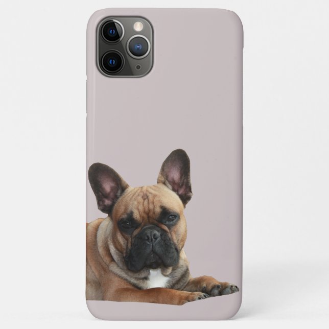 French bulldog iPhone 11 Pro Max shell Case-Mate iPhone Case (Back)