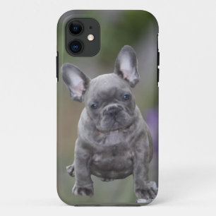 French Bulldog iPhone 11 Tablet Case