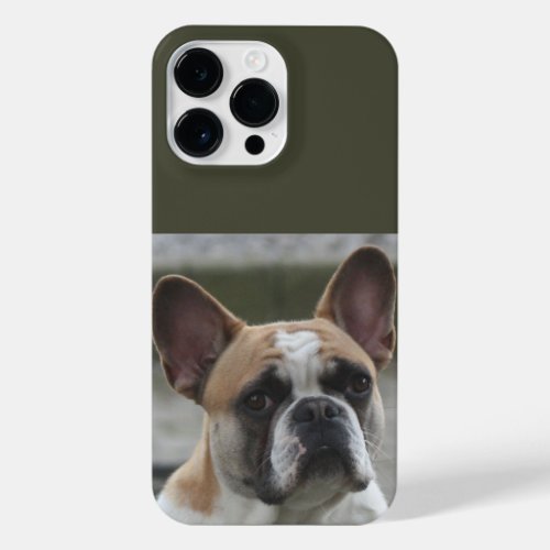 French bulldog iPhone 14 pro max case