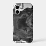 French Bulldog iPhone 17 Case