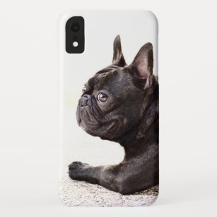 frenchie iphone case