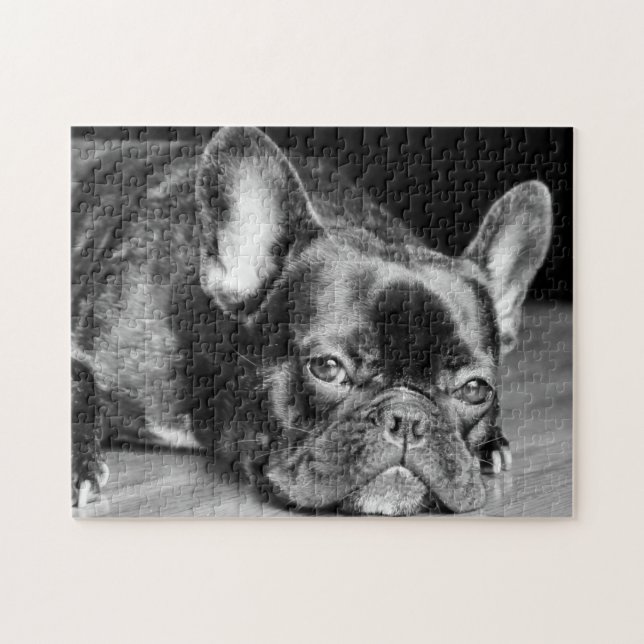 French Bulldog Jigsaw Puzzle (Horizontal)