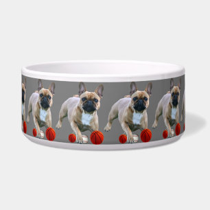 French Bulldog Jump French Bulldog Bowl