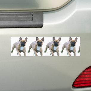 French Bulldog Jump French Bulldog Bumper Sticker