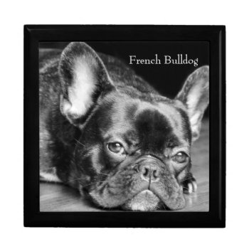 French Bulldog Keepsake Box by artinphotography at Zazzle