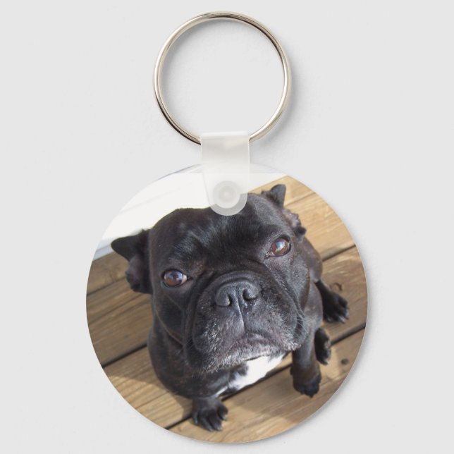 French Bulldog Keychain (Front)