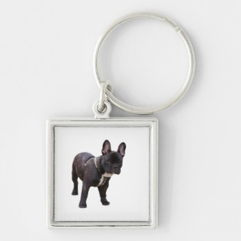 French Bulldog Keychain  Giftt Idea Keychain by roughcollie at Zazzle