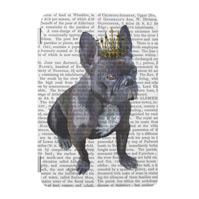 French Bulldog King iPad Mini Cover (Front)