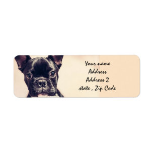 French Bulldog Label