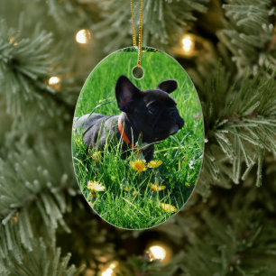 French Bulldog Lawn French Bulldog Ceramic Ornament