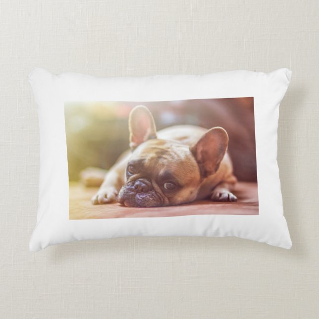 french bulldog laying accent pillow (Front)