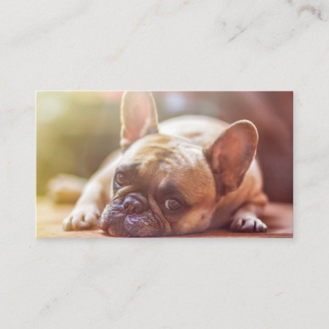 french bulldog laying business card (Front)