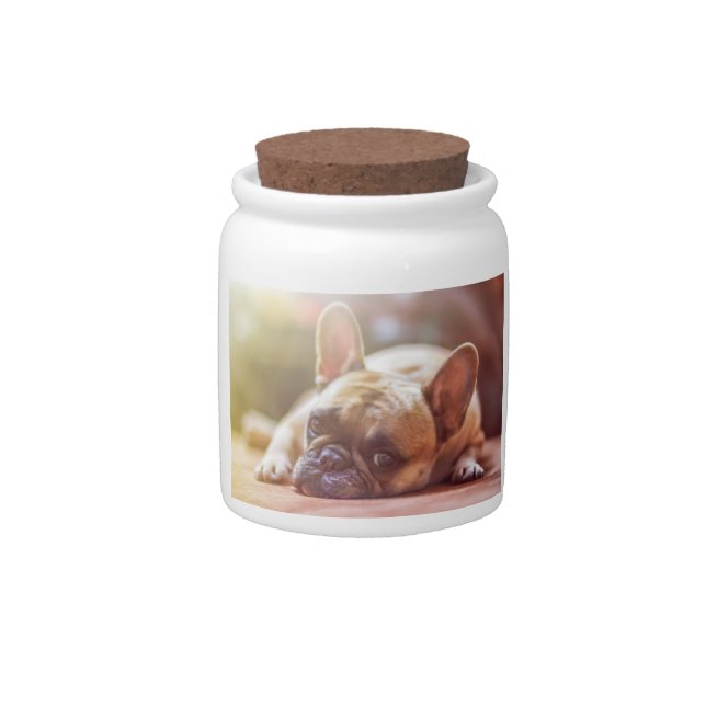 french bulldog laying candy jar (Front)