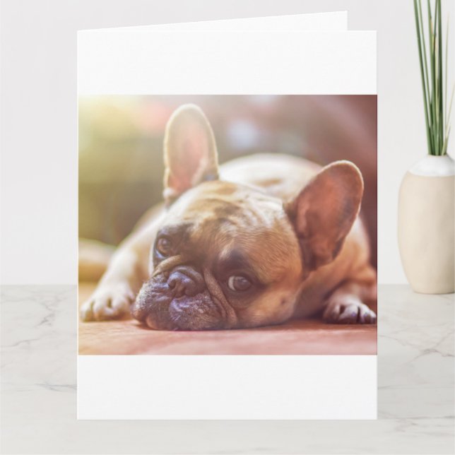 french bulldog laying card (Front)