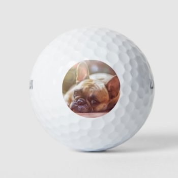 French Bulldog Laying Golf Balls by BreakoutTees at Zazzle