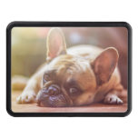 French Bulldog Laying Hitch Cover at Zazzle